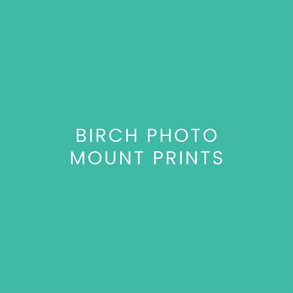Birch Photo Mount Prints