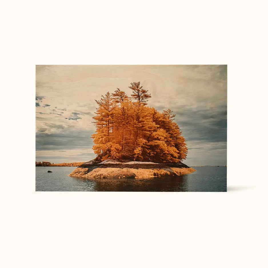 12x18 Wood Print Vintage Matte - Landscape / No Frame