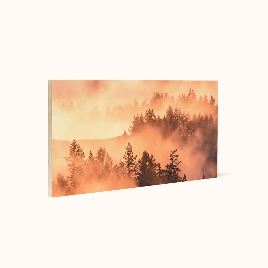 12x24 Wood Print Bright White 50%