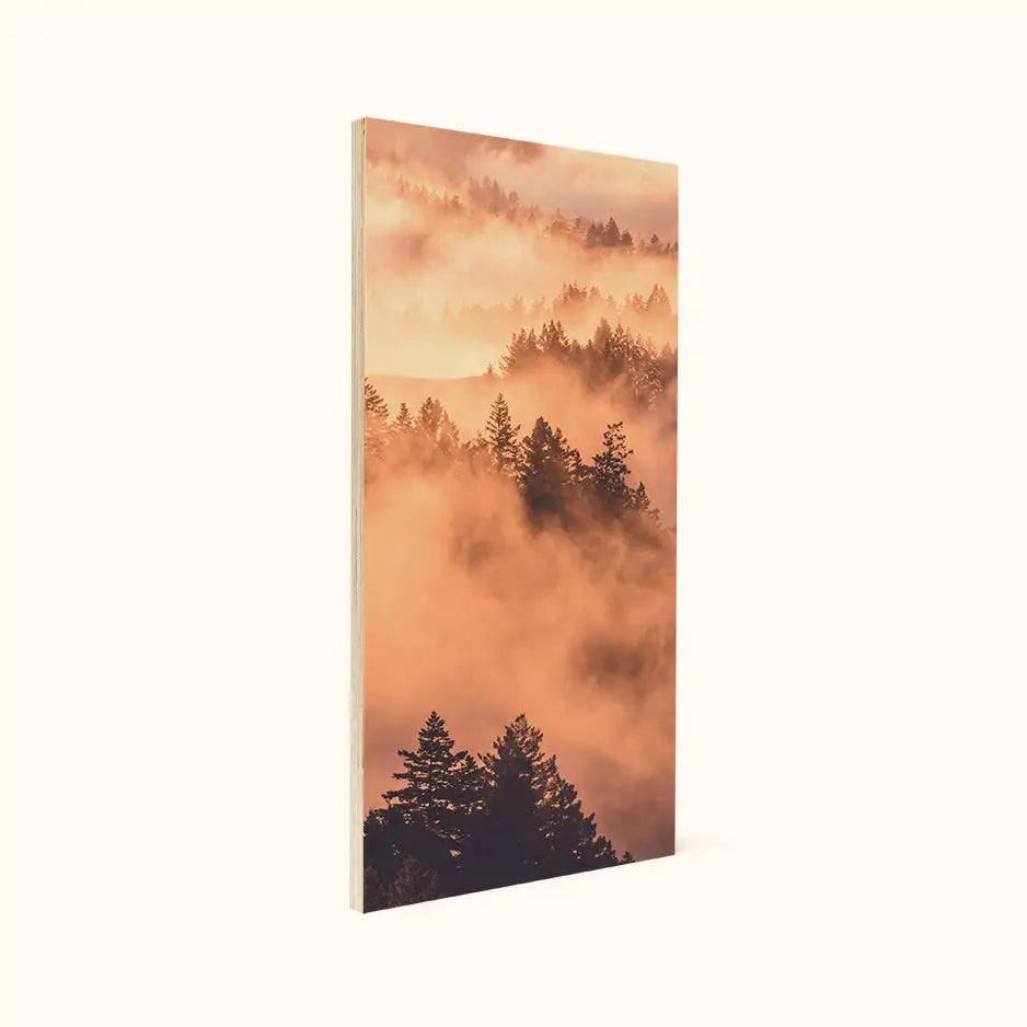 12x24 Wood Print Bright White 50%