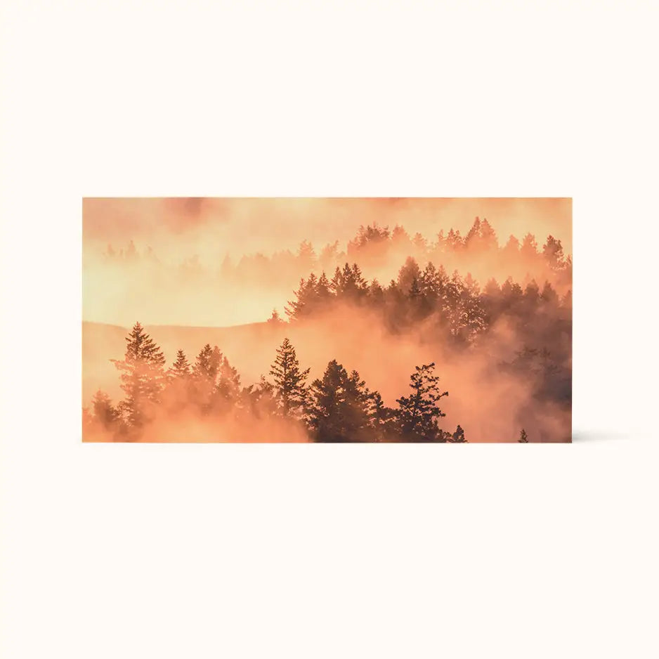 12x24 Wood Print Bright White 50% off - Landscape